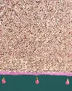 pinkstripedsaree(4).webp