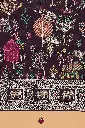 attirisbrownsaree(4).webp
