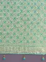 greenstripedsilksaree (1).webp